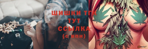 ГАЛЛЮЦИНОГЕННЫЕ ГРИБЫ Горняк