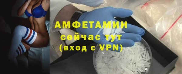 ГАЛЛЮЦИНОГЕННЫЕ ГРИБЫ Горняк