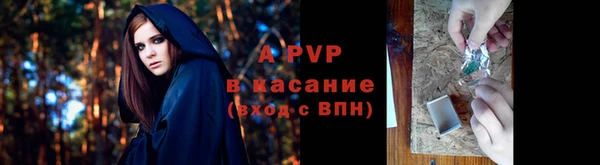 ГАЛЛЮЦИНОГЕННЫЕ ГРИБЫ Горняк
