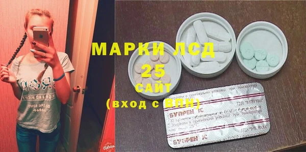 ГАЛЛЮЦИНОГЕННЫЕ ГРИБЫ Горняк